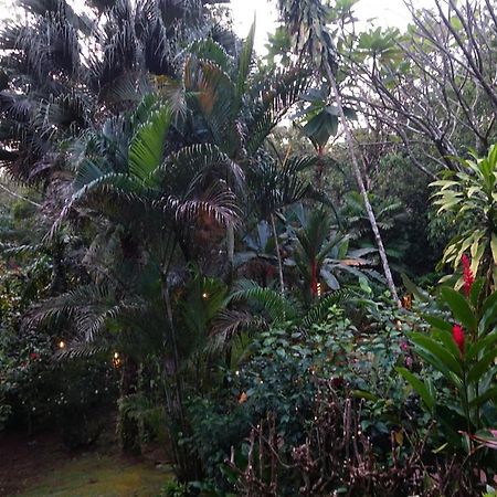 Villa Dos Casitas Ojochal Exterior foto