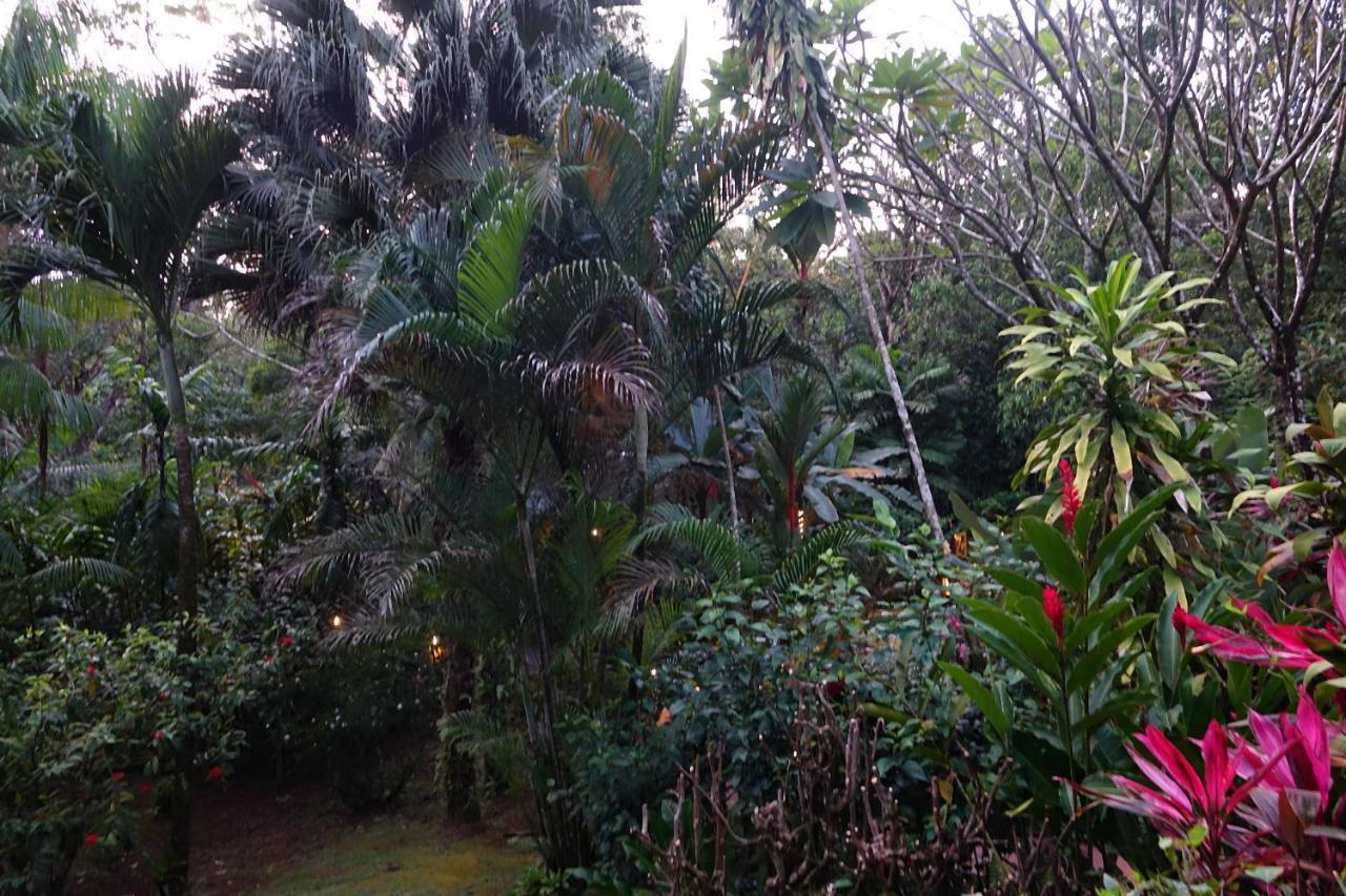 Villa Dos Casitas Ojochal Exterior foto