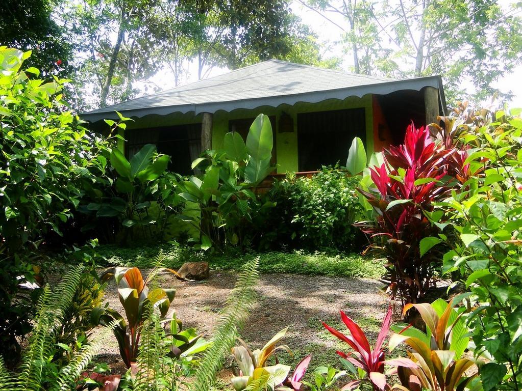 Villa Dos Casitas Ojochal Exterior foto