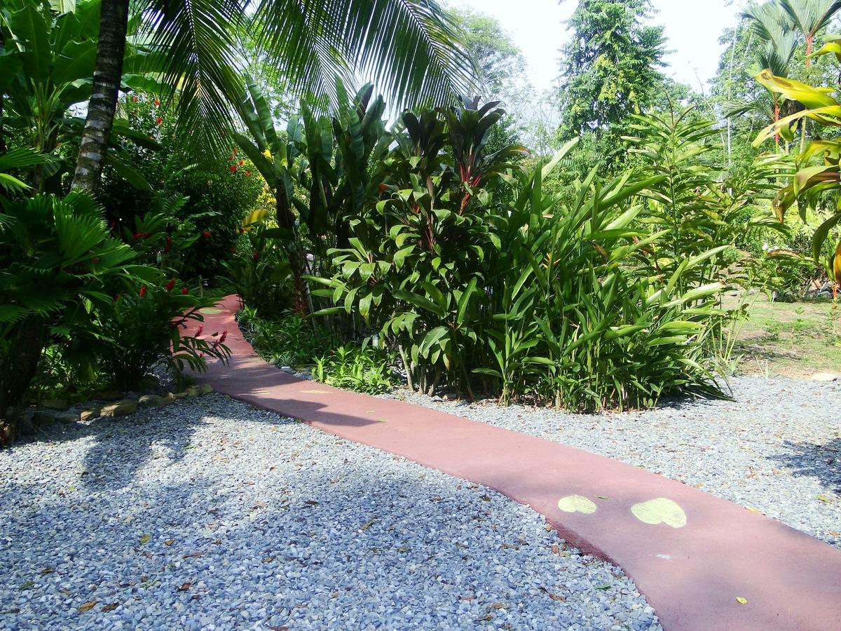 Villa Dos Casitas Ojochal Exterior foto
